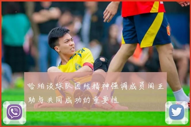哈珀谈球队团结精神强调成员间互助与共同成功的重要性